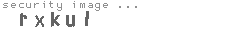 security image