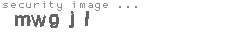 security image