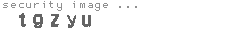 security image