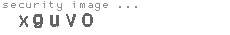 security image