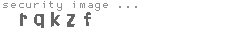 security image