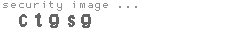 security image