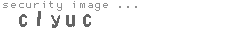 security image