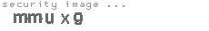 security image