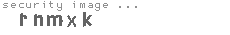 security image