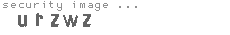 security image