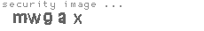security image