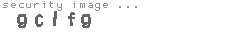 security image