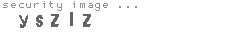 security image