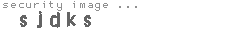 security image