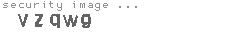 security image