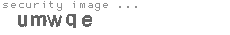 security image