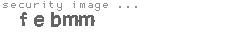 security image