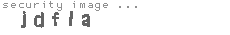 security image