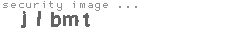 security image