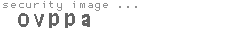 security image