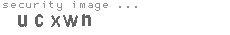 security image