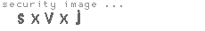 security image