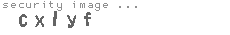 security image