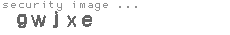security image