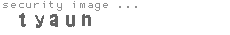 security image