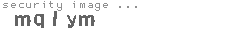 security image