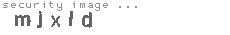 security image