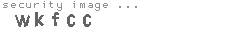 security image