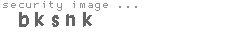 security image